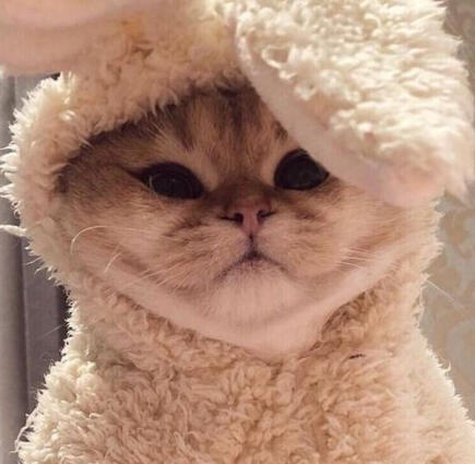 BrotherMingGames Happiness Manager