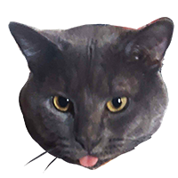 Xiisalt Unhappy Manager